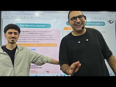 ANS Crash Course-1 Kasr alainy 199 