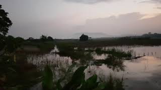 preview picture of video 'ชมพระอาทิตย์ขึ้น ริมแม่น้ำโขง อำเภอเชียงแสน จังหวัดเชียงราย'