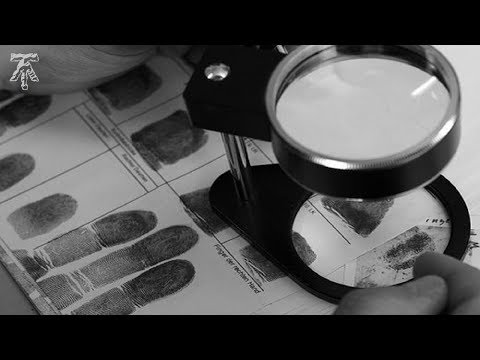 Das Netz - Krimi Hörspiel - Hans Kasper