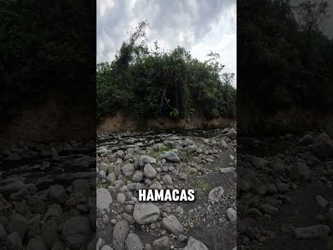 Rio las hamacas o rio ceniza en Siquinala Escuintla #somitachapin #semanasanta