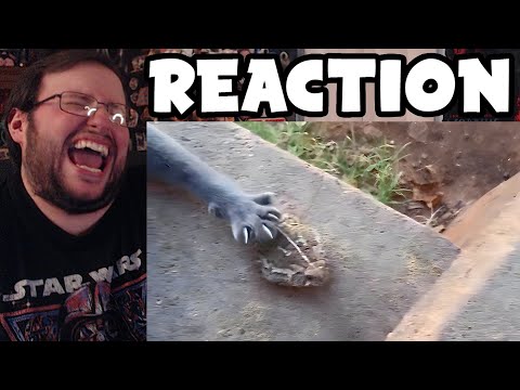 Gor's "UNUSUAL MEMES COMPILATION V239 by UnusualVideos" REACTION