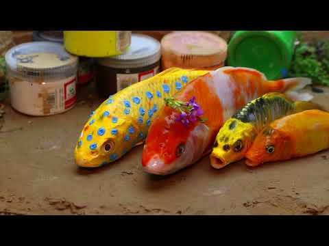 Golden Carp Fish Run Race - Stop motion Relaxing Catching Eggfish Cooking by Unique Fishing
