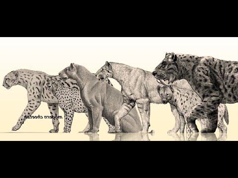 Europe's Prehistoric BIG Cats