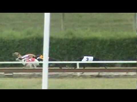 European Derby Sprint Plate 2012 - Z-Eagle Adriano