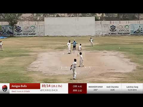Live Cricket Match | Amigos Lions vs Amigos Bulls | 11-Jun-22 07:21 AM 25 overs | Amigos U12 Intern