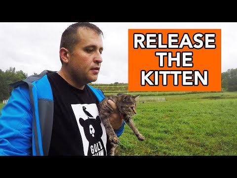 Setting a Barn Cat Free