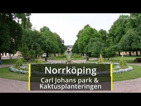 2021-06-26 NORRKÖPING Carl Johans park och kaktusplanteringen