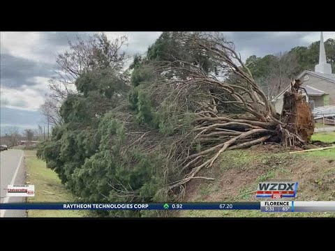 Tornado heavily damages homes, businesses, schools in central Alabama