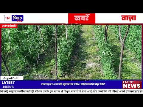 Rajgarh में Heavy Rainfall & Snowfall, Farming और Apple Crops को मिला फायदा