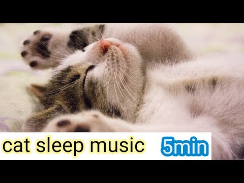 Music that will make your cat sleep in 5 minutes, relax the cats😍❤1