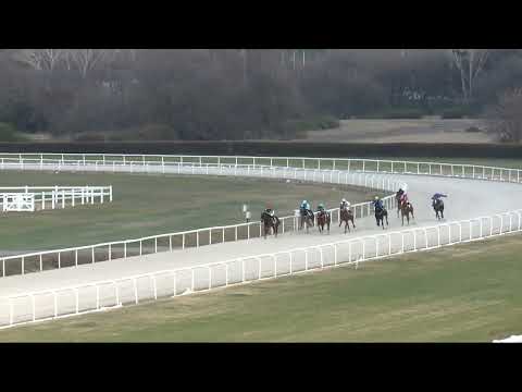 2022.04.03. 08. futam - NYERETLENEK VERSENYE (V.kat.)(szintetikus pálya)