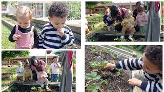 Hort i jardí. EBM Secà curs 25-26