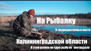 Ограничения рыбалки в калининградской области