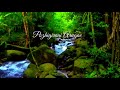 Azhage Pozhigirai Mazhaiye Song Irumbuthirai Movie Azhage Pozhigirai Mazhaiye Song WhatsApp Status
