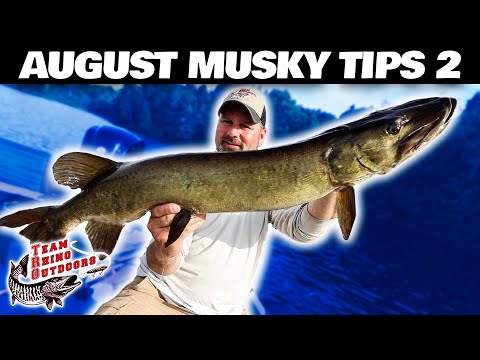 August Musky Tips 2 - Musky Fishing Basics