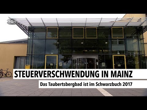 Steuerverschwendung in Mainz | RON TV