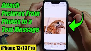iPhone 13/13 Pro: How to Quickly Attach Pictures From the Photos Library to a Text Message