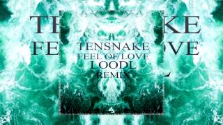Tensnake - Feel Of Love (Loodl Remix)