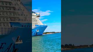 Utopia of the Seas 🛳️ #like #share #comment #subscribe #cruiseship #cruise #vacation #shorts #short