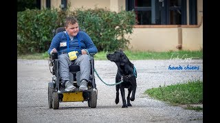 Stage de passation Handi’chiens Octobre 2018 à St Cyprien pour le centre de Marcy-l’Etoile