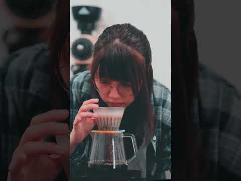 Daily brewing - Panama Elida Geisha