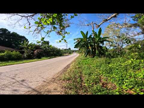 La Jicotea, Manicaragua, Cuba