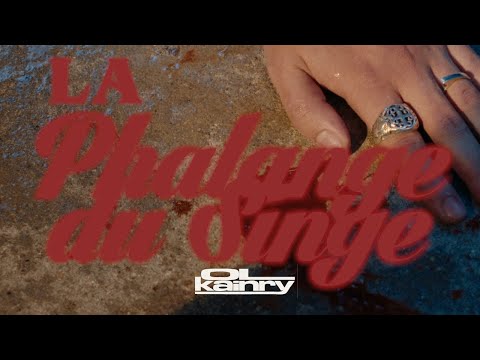 Video thumbnail for La phalange du singe