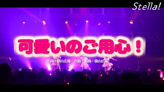 Stella!（ステラ）/ 可愛いのご用心！（Live at Zepp NAGOYA）【LIVE ver. full】
