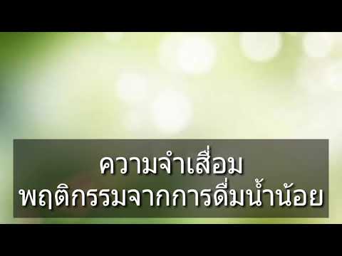 เชื้อโรคม้าทำที่บ้าน ผู้หญิง Excite วลี