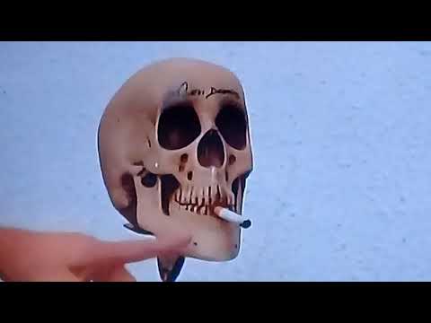 DIA nacional do combate ao tabagismo