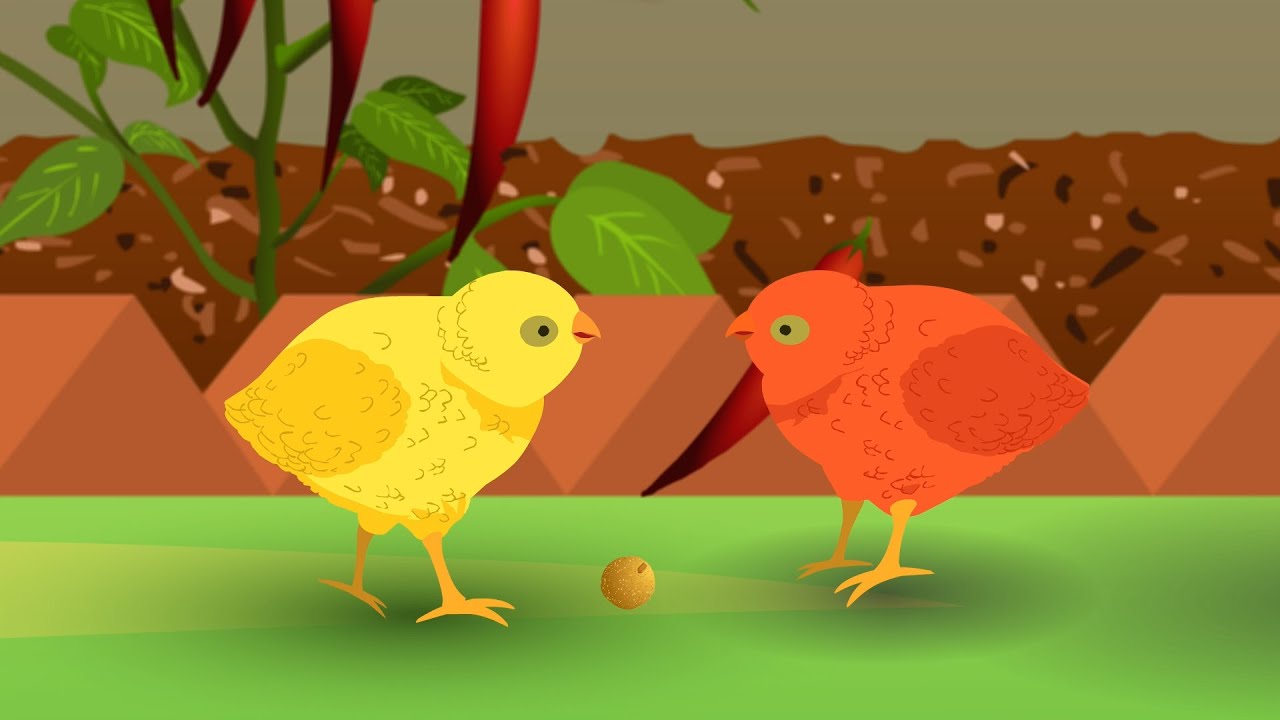 RitePixel - Professional 2D Animation