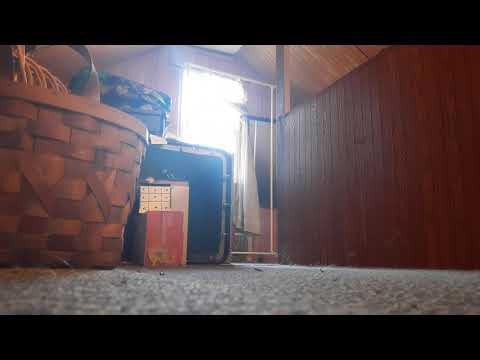 .177 gamo Whisper Swarm 10x autoloader test pellet gun air test