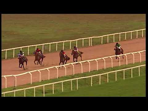 rm 20211126 04 p furigolo