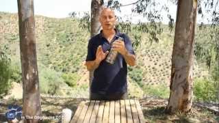 Rattle Bottles in Dog Training