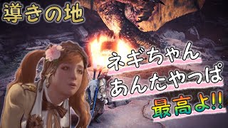 【モンスターハンターワールド:アイスボーン】狩るか、狩られるか！？悉ネギファイナル！【Part31】