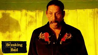 Tortuga Receives A Gift – I.F.T.