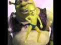Im bringing sexy back shrek 