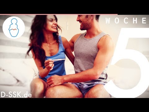 5. SSW/ 5.Schwangerschaftswoche ✪ D-SSK.de