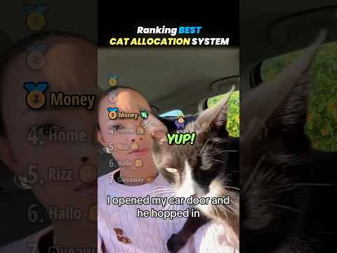 Ranking BEST CAT ALLOCATION SYSTEM Core Moments!! 🐱🎁
