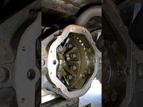 Rear Diff Oil Change for Limited Slip | Dodge Ram 2nd Gen (94 - 01)