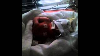 Mein neuer bruder geboren am 9.5.2016 um 00:04