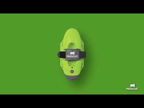 Moocall Calving Sensor