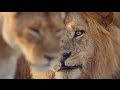 Will Young | What The World Needs Now Is Love ...