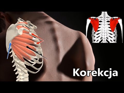 Ćwiczenia na biodrowych psoas Ile kalorii trzeba jeść w kulturystyce
