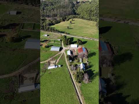 215 hectáreas en venta | Los Muermos | Región de Los Lagos |COD: 405