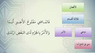 صورة شرح نظم الآجرومية مع التشجير //39//الشيخ محمد محمود الشنقيطي