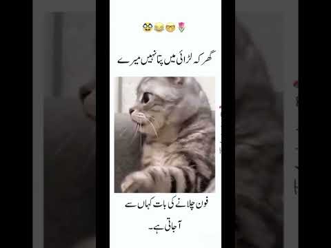 Funny vedio 😂😂 ##@Nabeera official