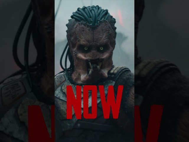 Now Playing In Cinemas