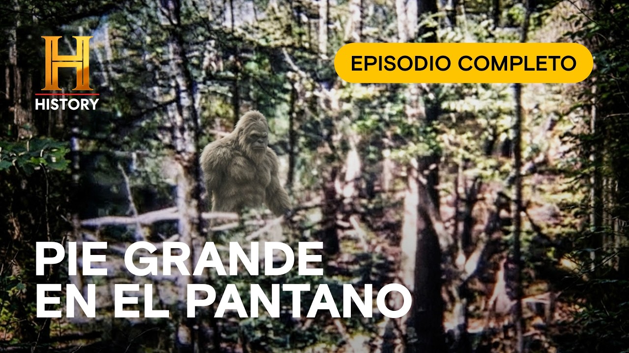 🦶🌲 Criaturas reales analizadas por expertos - La Evidencia está entre Nosotros - Episodio Completo