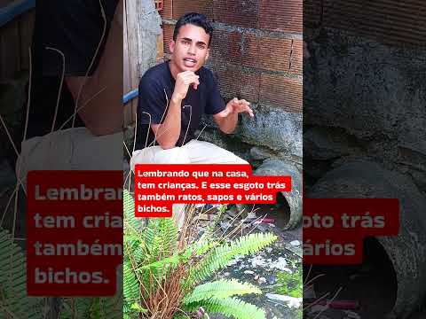 Cafundó Bahia. Distrito de Itapitanga Bahia. Segue para mais.